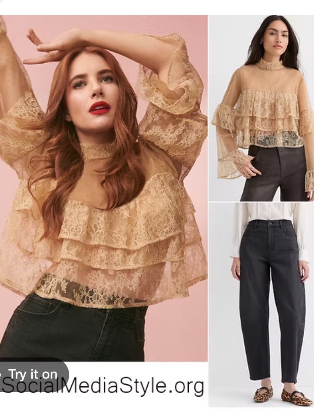 Sheer Ruffle Lace Blouse in Beige